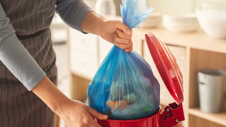 Professional trash can cleaning